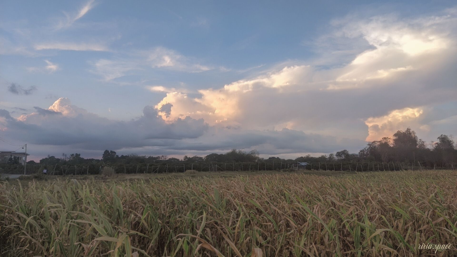 To my grandparents, thank you.